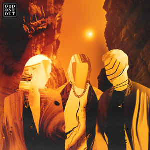 2017天天夜夜橹橹橹橹
