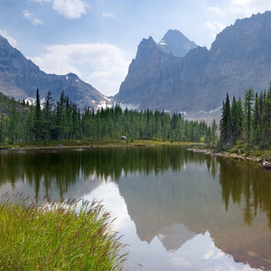 2017天天夜夜橹橹橹橹
