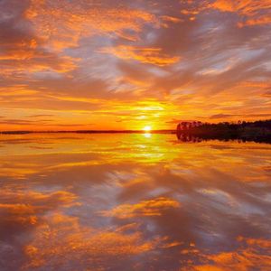 2017天天夜夜橹橹橹橹
